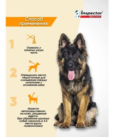 Neoterica Inspector Quadro from dog drops 1-4 kg (3 pipettes) - Buy Online on GoSupps.com