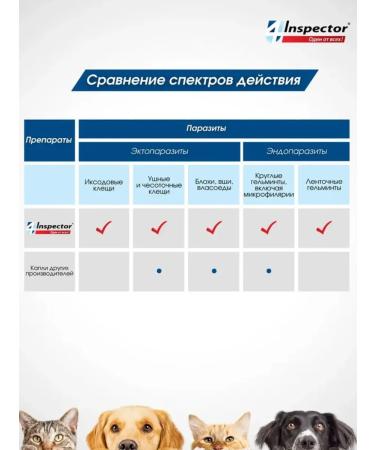 Neoterica Inspector Quadro from dog drops 1-4 kg (1 pipette) - Buy Online on GoSupps.com