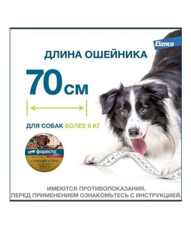 Elanco Foretrae collar for dogs more than 8 kg 70cm - Buy Online on GoSupps.com