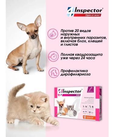 Neoterica Inspector of mini drops for cats and dogs (1 pipettes 0.4 ml) - Buy Online on GoSupps.com