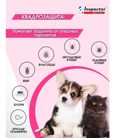 Neoterica Inspector of mini drops for cats and dogs (1 pipettes 0.4 ml) - Buy Online on GoSupps.com