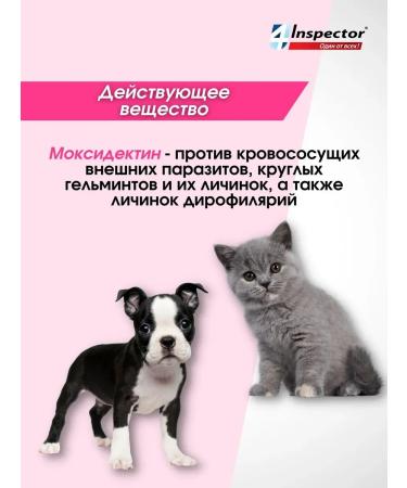 Neoterica Inspector of mini drops for cats and dogs (1 pipettes 0.4 ml) - Buy Online on GoSupps.com