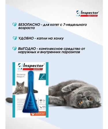 Neoterica Inspector Quadro to a drop for puppies 4-8 kg (3 pipettes) - Buy Online on GoSupps.com