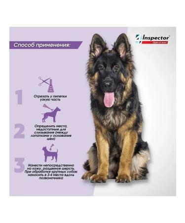 Neoterica Inspector Quadro from dog drops 10-25 kg (1 pipette) - Buy Online on GoSupps.com