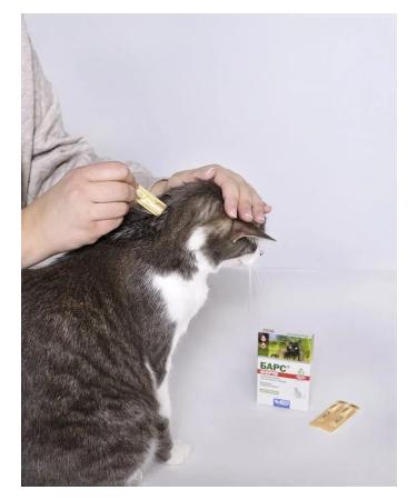 AVZ Bars Forte for cats drops on a withers 3 pipettes - Buy Online on GoSupps.com