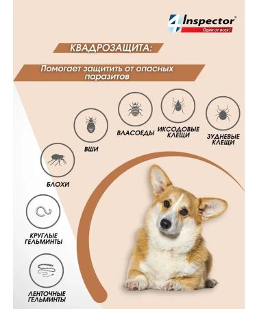 Neoterica Inspector Quadro from dog drops 40-60 kg (3 pipettes) - Buy Online on GoSupps.com