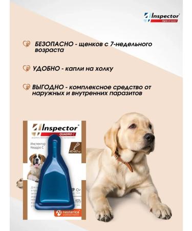 Neoterica Inspector Quadro from dog drops 40-60 kg (3 pipettes) - Buy Online on GoSupps.com