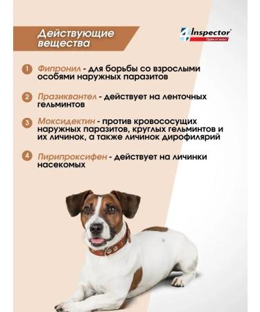 Neoterica Inspector Quadro from dog drops 40-60 kg (1 pipette) - Buy Online on GoSupps.com