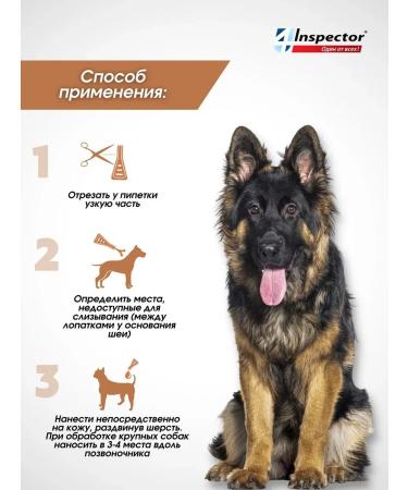 Neoterica Inspector Quadro from dog drops 40-60 kg (1 pipette) - Buy Online on GoSupps.com