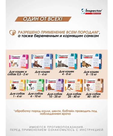 Neoterica Inspector Quadro from dog drops 40-60 kg (1 pipette) - Buy Online on GoSupps.com