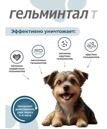 Gelmintal Anthelmintic tablets for puppies and dogs less than 10 kg 2pcs - Buy Online on GoSupps.com