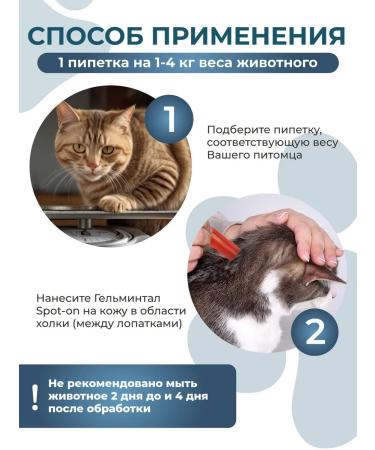 Gelmintal Antiparasitic drops for cats weighing less than 4 kg 3pip - Buy Online on GoSupps.com