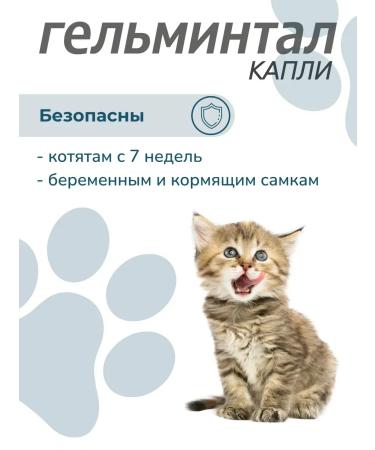 Gelmintal Antigelmar drops on a cat for cats less than 4 kg 1 pipette - Buy Online on GoSupps.com