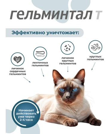 Gelmintal Anthelmintic tablets for kittens and cats less than 4 kg 2 table - Buy Online on GoSupps.com