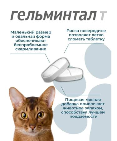 Gelmintal Anthelmintic tablets for kittens and cats less than 4 kg 2 table - Buy Online on GoSupps.com