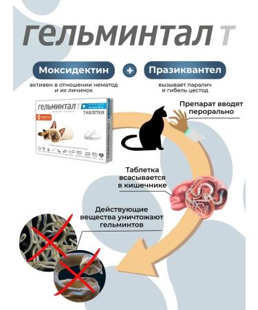 Gelmintal Anthelmintic tablets for kittens and cats less than 4 kg 2 table - Buy Online on GoSupps.com
