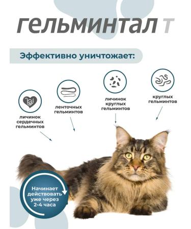 Gelmintal Anthelmintic tablets for cats more than 4 kg 2 tablets - Buy Online on GoSupps.com