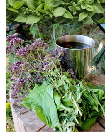 Teas of Dagestan - Khunzakh - Buy Online on GoSupps.com