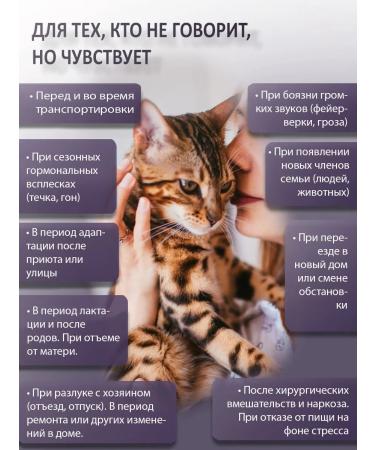 BINN PETS Collagen and vitamins for cats anti -stress complex 25g - Buy Online on GoSupps.com