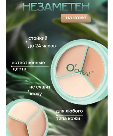 HaidyePlus Face concealer cream 3 in 1 - Buy Online on GoSupps.com