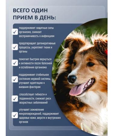 BINN PETS Collagen and vitamins for dogs after injuries and operations 25g - Buy Online on GoSupps.com