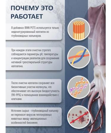 BINN PETS Collagen and vitamins for dogs after injuries and operations 70g - Buy Online on GoSupps.com