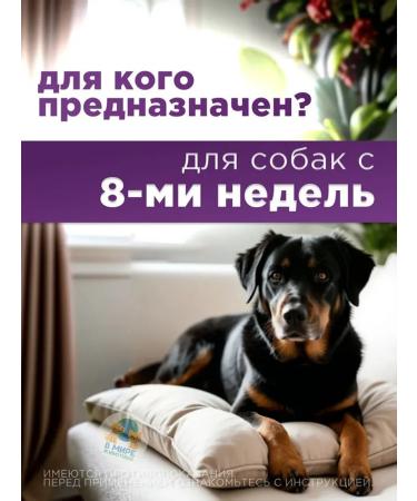 Zoetis Simeparika for dogs from 5.1 to 10 kg - Buy Online on GoSupps.com