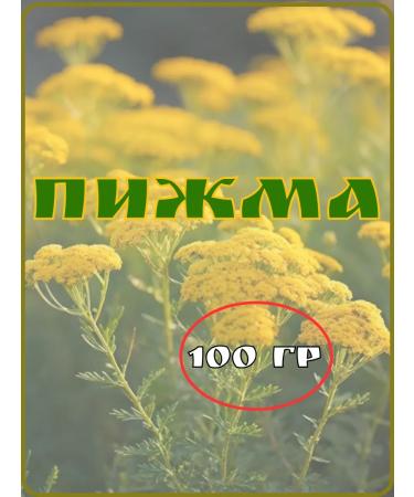 Herbs of Siberia Tansy