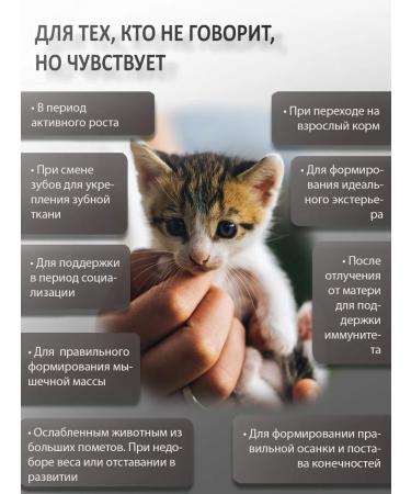 BINN PETS Collagen and vitamins for kittens for active growth 25g - Buy Online on GoSupps.com