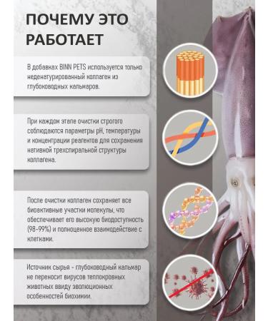 BINN PETS Collagen and vitamins for kittens for active growth 25g - Buy Online on GoSupps.com