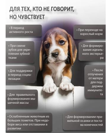 BINN PETS Collagen and vitamins for puppies for active growth 25g - Buy Online on GoSupps.com