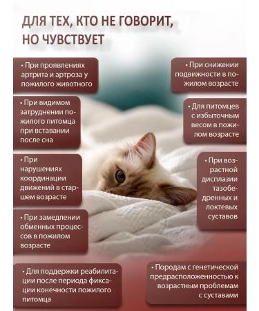 BINN PETS Collagen and vitamins for elderly cats 25g - Buy Online on GoSupps.com