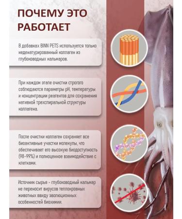 BINN PETS Collagen and vitamins for older dogs 25g - Buy Online on GoSupps.com