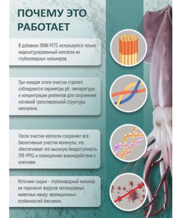 BINN PETS Vitamins and glucosamine for cats for joints and bones 25g - Buy Online on GoSupps.com