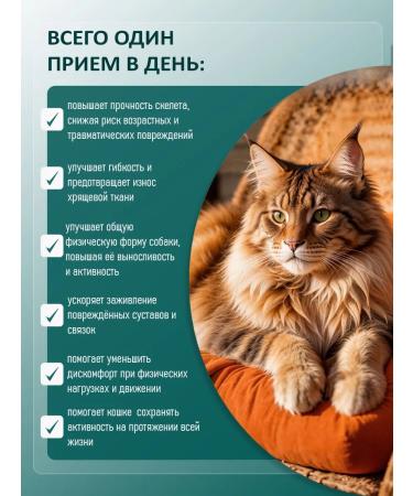 BINN PETS Vitamins and glucosamine for cats for joints and bones 25g - Buy Online on GoSupps.com