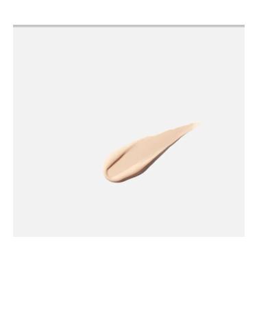 SHISEIDO Concealer for fresh impeccable coating tons 102 - Buy Online on GoSupps.com