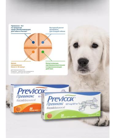 Previkox 57 mg 1 tablet blister - Buy Online on GoSupps.com