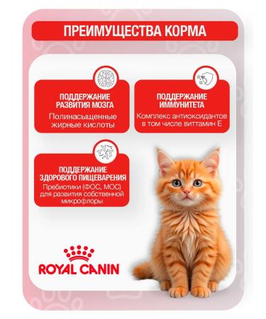 ROYAL CANIN Dry food for kittens of the Kanin Kitten with a bird 2 kg - Buy Online on GoSupps.com