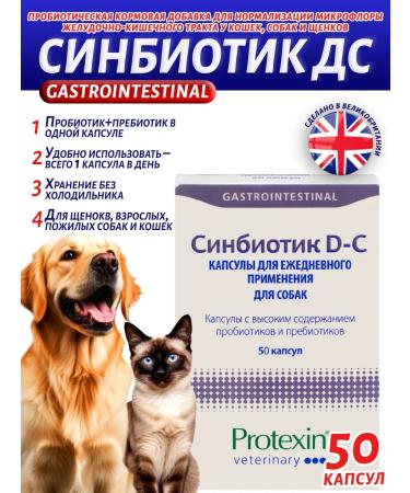 protein Sinbiotik ds probiotic and prebiotic for dogs 50 capsules