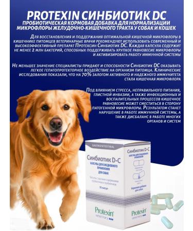 protein Sinbiotik ds probiotic and prebiotic for dogs 50 capsules - Buy Online on GoSupps.com
