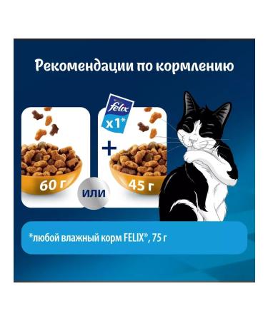 Dry food for cats Felix 10 kg with chicken - Buy Online on GoSupps.com