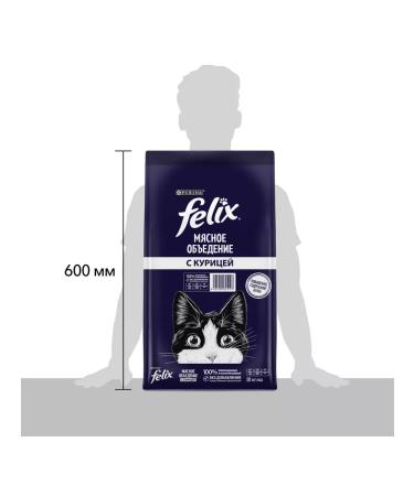 Dry food for cats Felix 10 kg with chicken - Buy Online on GoSupps.com