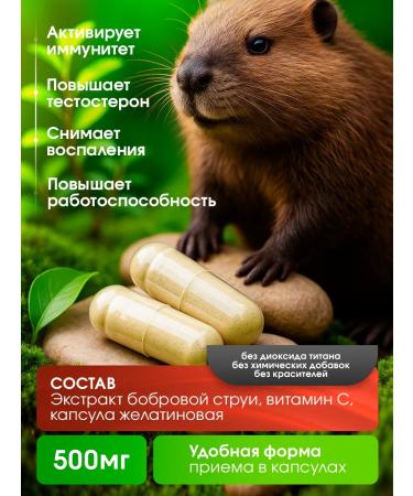 Eco Teremok Bob stream with vitamin C 60 capsules - Buy Online on GoSupps.com