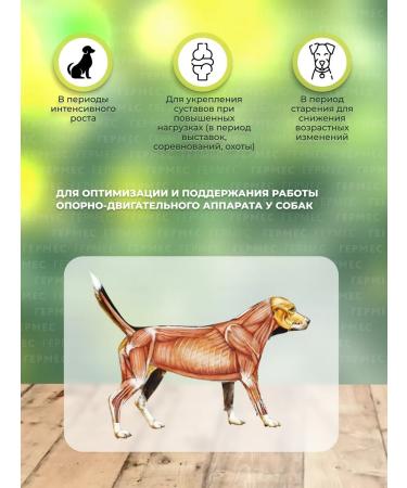 TRM Stride Plus Stride for dogs 200 ml - Buy Online on GoSupps.com