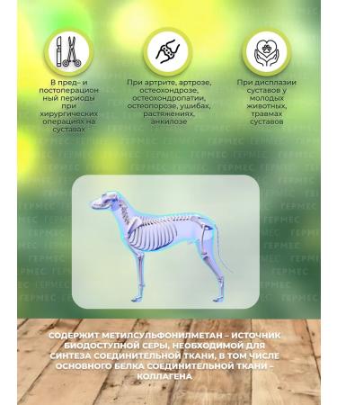 TRM Stride Plus Stride for dogs 200 ml - Buy Online on GoSupps.com