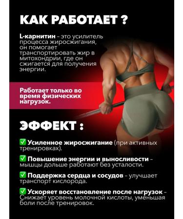 SportTech L carnitine liquid sportpite fat burner 20 pcs x 25 ml - Buy Online on GoSupps.com