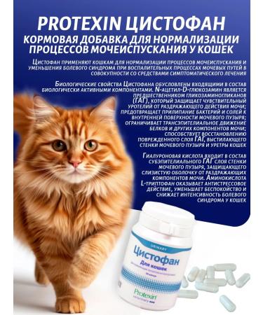 protein Cystophanes for urolithiasis cystitis in cats 30 capsules - Buy Online on GoSupps.com
