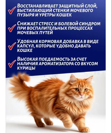 protein Cystophanes for urolithiasis cystitis in cats 30 capsules - Buy Online on GoSupps.com