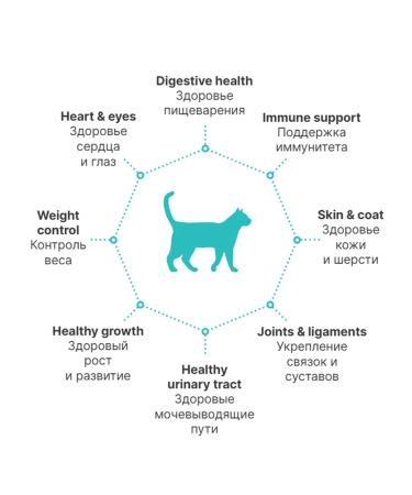 PREMIER Salmon with a 2 kg turkey for sterilized cats - Buy Online on GoSupps.com