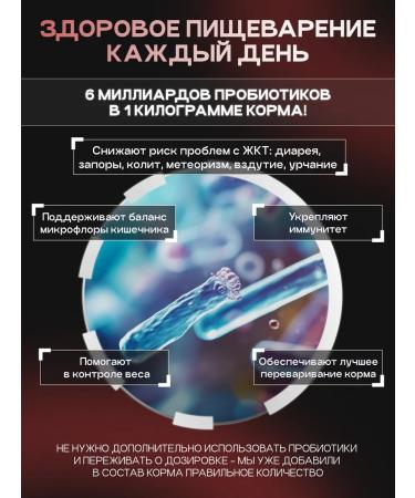 cosmodog Hypoallergenic lamb food food probiotic 0.8 kg - Buy Online on GoSupps.com